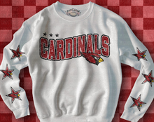 Load image into Gallery viewer, Distressed Team Red Bird - DTF Transfer