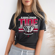 Load image into Gallery viewer, White Team Red Tide- DTF Transfer