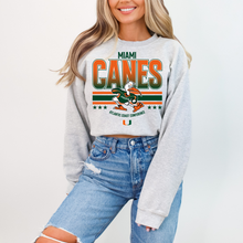 Load image into Gallery viewer, Team Miami- DTF Transfer