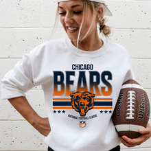 Load image into Gallery viewer, Bear Team- DTF Transfer