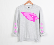 Load image into Gallery viewer, Pink Red Bird Team- DTF Transfer