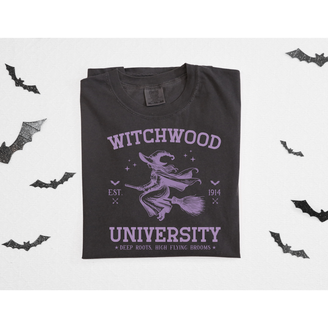 Witchwood University- DTF Transfer