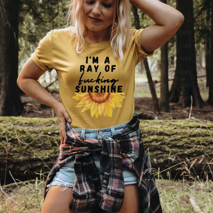 I'm A Ray of F*cking Sunshine - DTF Transfer